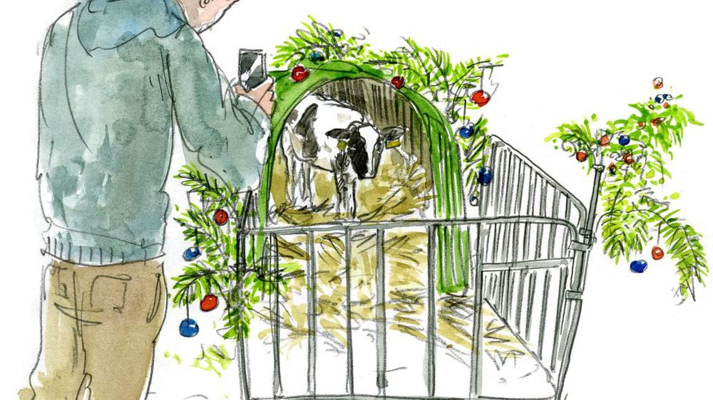 © G. de Dieuleveult